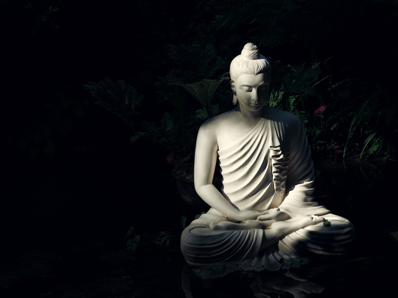 A Buddha statue, luminous in the dark. Photo by Mattia Faloretti on Unsplash.