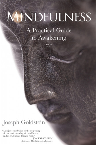 Cover image of Mindfulness — A Practical Guide to Awakening by Joseph Goldstein